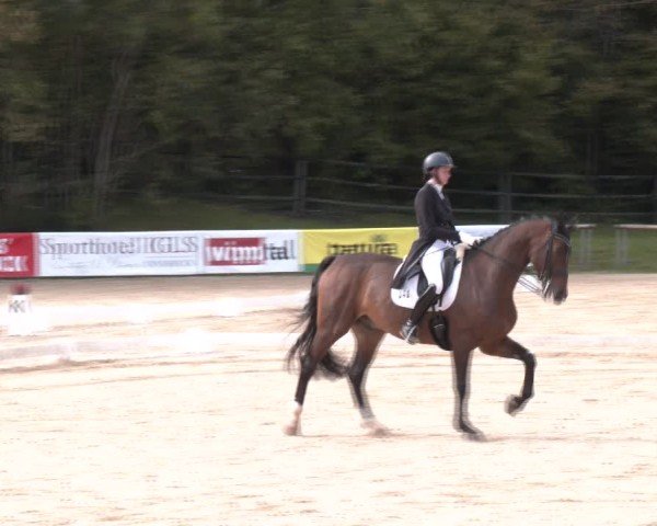 Reitturnier Igls 2024