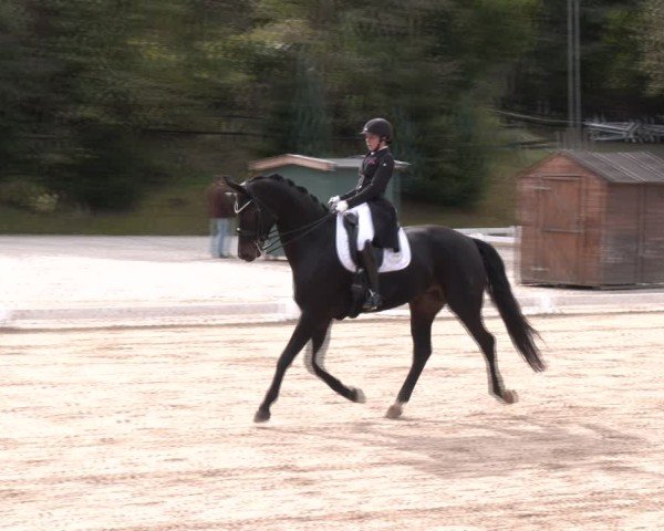 Reitturnier Igls 2024