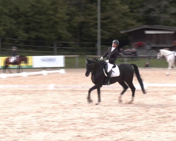 Reitturnier Igls 2024