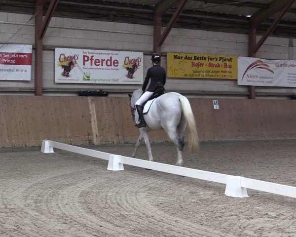 Reitturnier Elisenau 2024