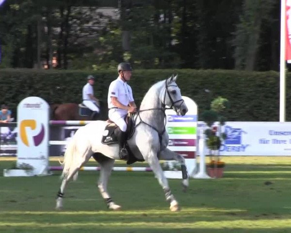 Reitturnier Münster-Handorf 2013