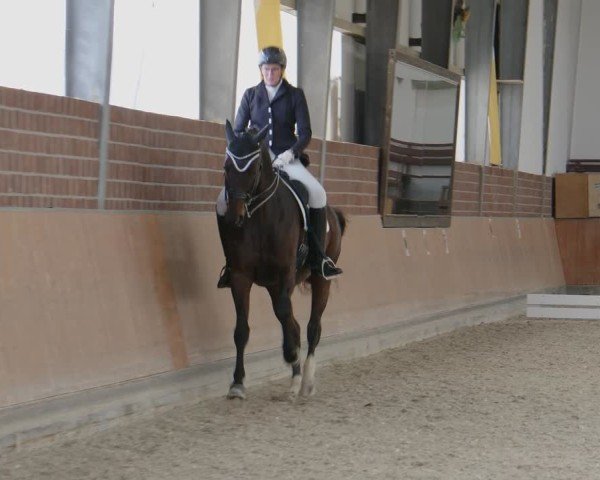 Reitturnier Frechen-Grefrath - Sonnenhof 2024