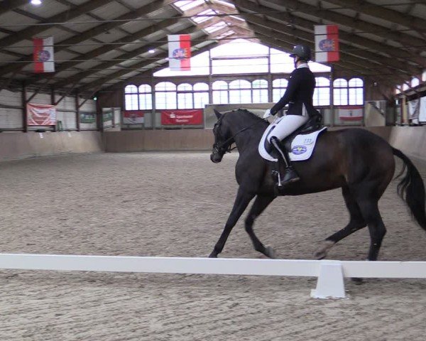 Reitturnier Elisenau 2024