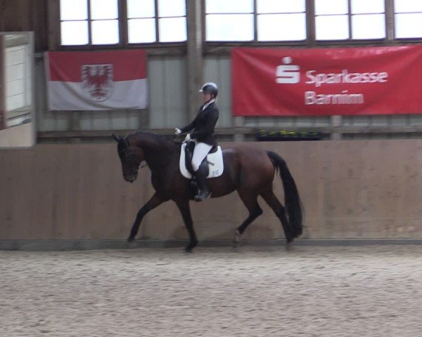 Reitturnier Elisenau 2024