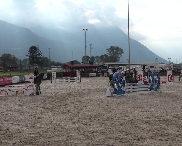 Reitturnier Giubiasco 2024