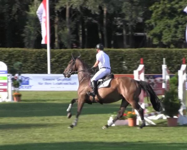 Reitturnier Münster-Handorf 2013