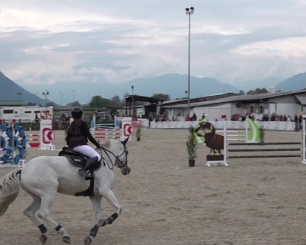 Reitturnier Giubiasco 2024