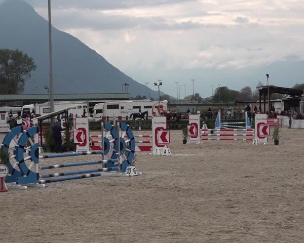 Reitturnier Giubiasco 2024