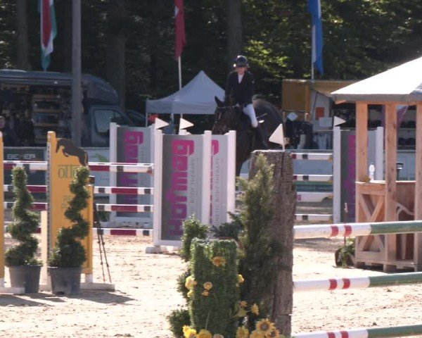 Reitturnier Ranshofen - Braunau am Inn 2024