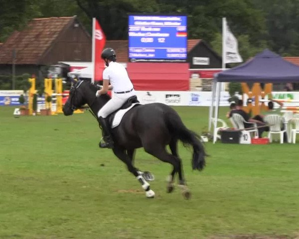 Westfalen-Woche 2013