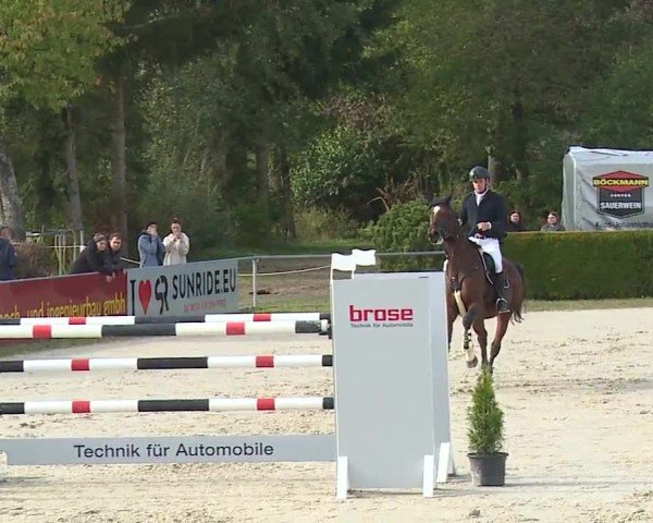 Reitturnier Frankenhof-Sonnefeld/Ofr. 2024