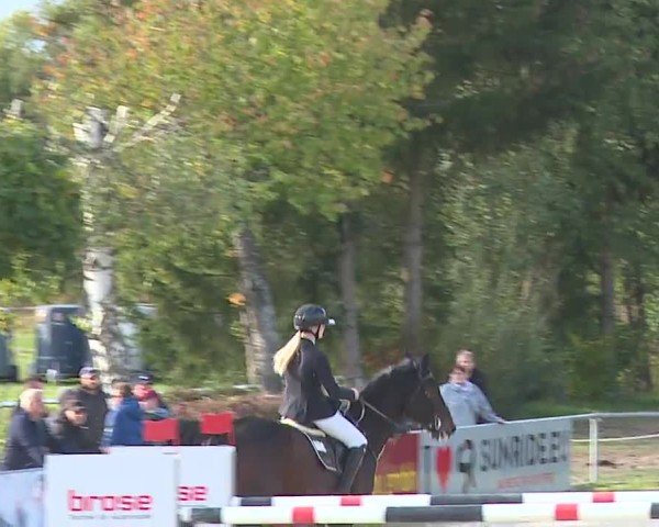 Reitturnier Frankenhof-Sonnefeld/Ofr. 2024