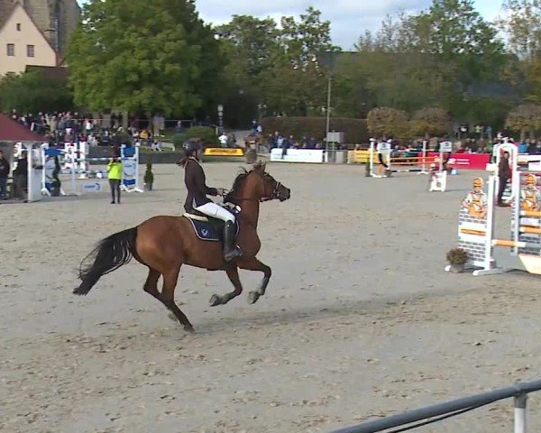 Reitturnier Frankenhof-Sonnefeld/Ofr. 2024