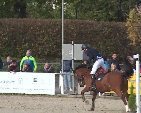 Reitturnier Frankenhof-Sonnefeld/Ofr. 2024