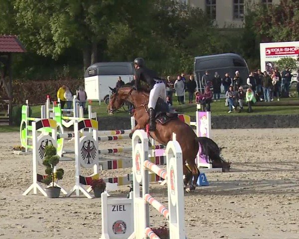 Reitturnier Frankenhof-Sonnefeld/Ofr. 2024