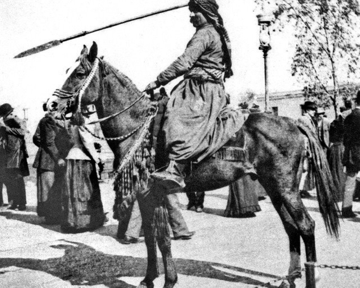 stallion Mannaky DB (Arabian purebred, 1890)