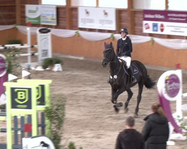 Reitturnier Xanten - Reitanlage Miss 2024