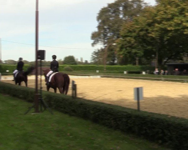 Reitturnier Bottrop-Kirchhellen 2024