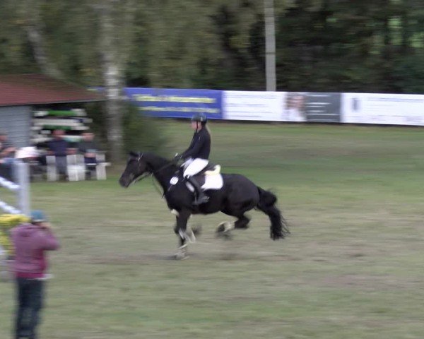 Reitturnier Scharnebeck 2024