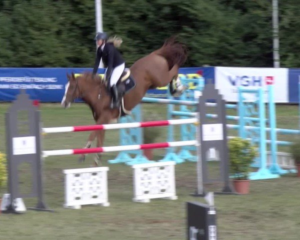 Reitturnier Scharnebeck 2024