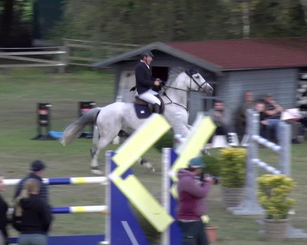 Reitturnier Scharnebeck 2024
