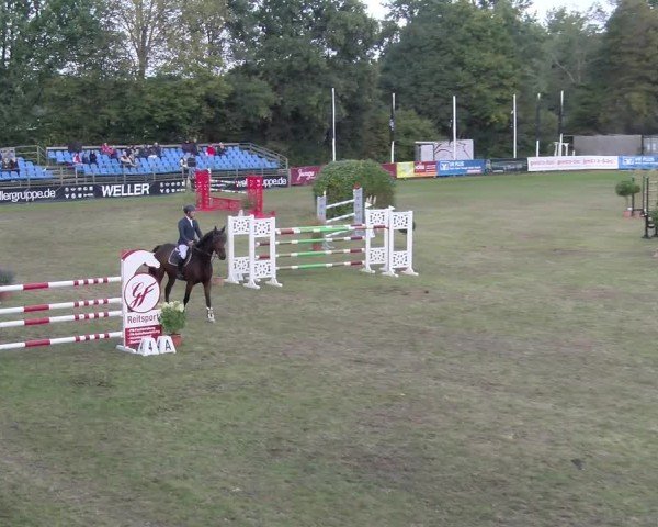 Reitturnier Scharnebeck 2024