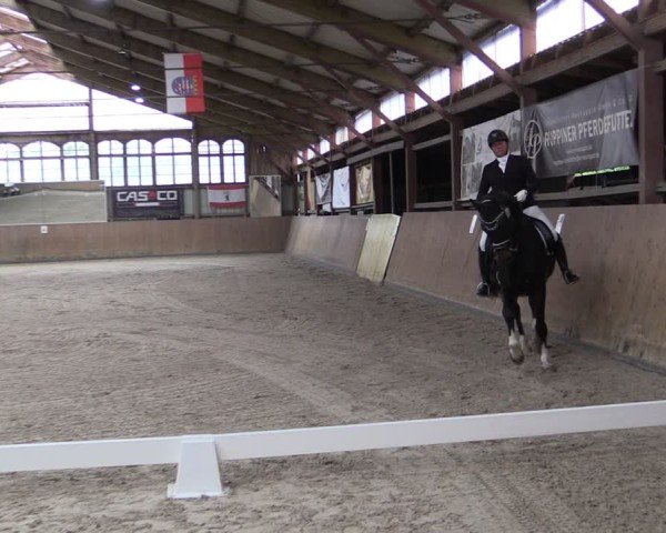 Reitturnier Elisenau 2024