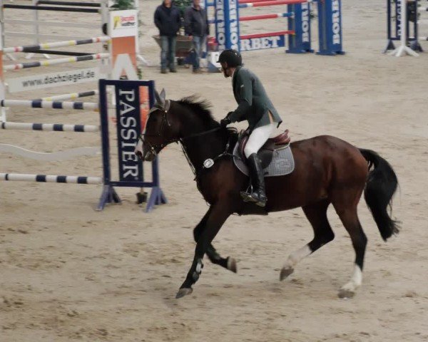 Reitturnier Borken 2024