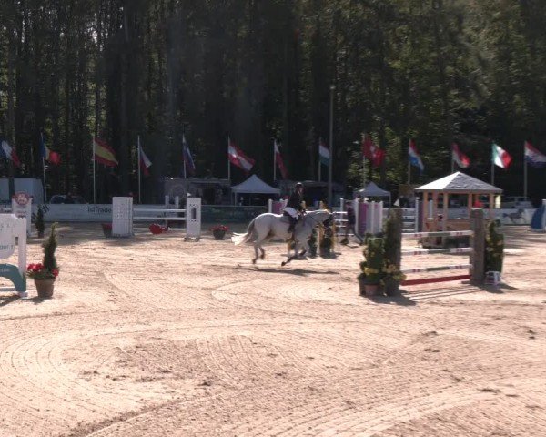 Reitturnier Ranshofen - Braunau am Inn 2024