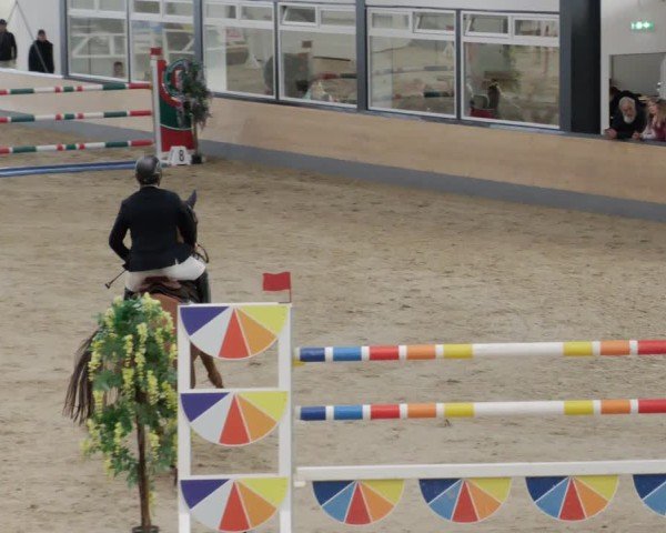Reitturnier Borken 2024