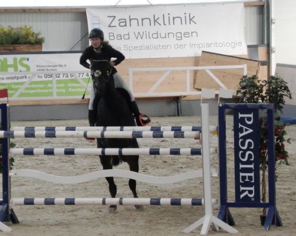 Reitturnier Borken 2024
