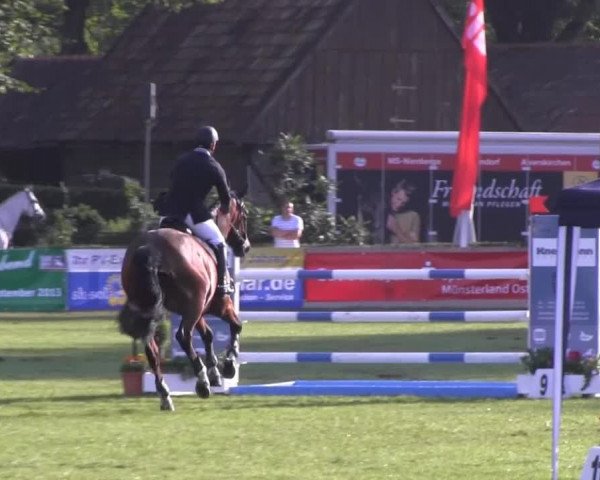 Reitturnier Münster-Handorf 2013