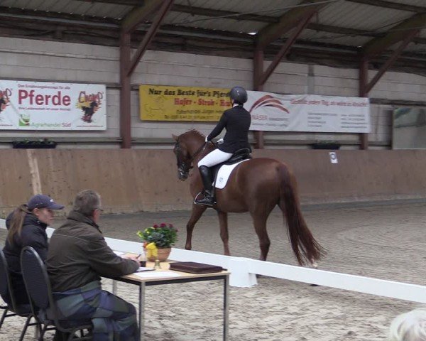Reitturnier Elisenau 2024
