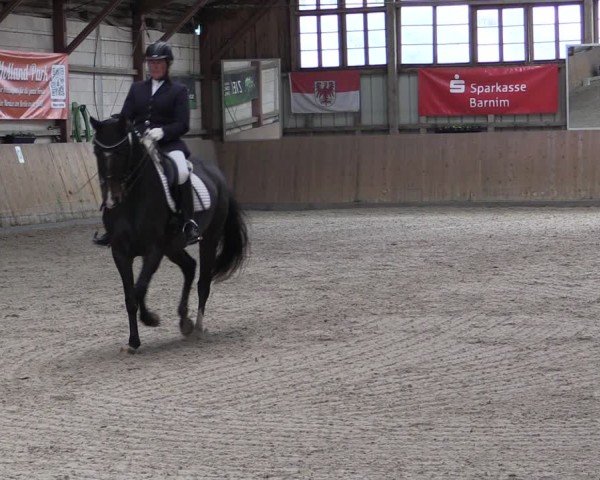 Reitturnier Elisenau 2024
