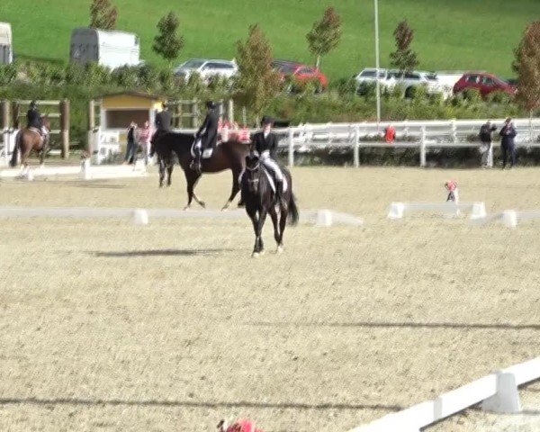 Reitturnier St. Margarethen 2024