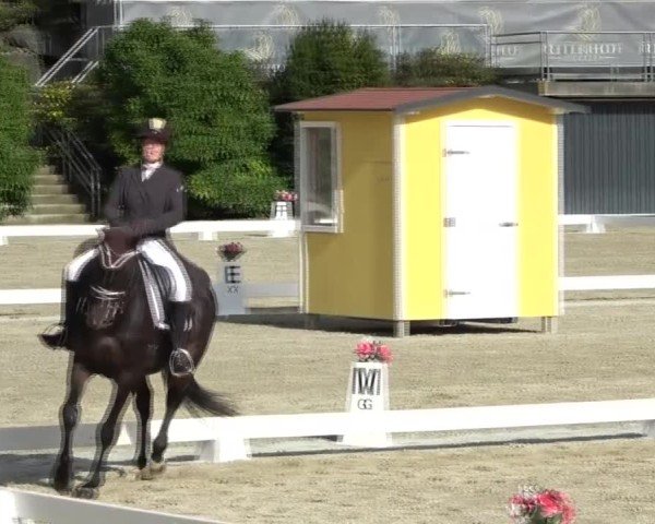Reitturnier St. Margarethen 2024