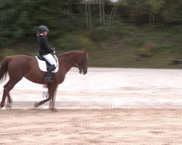 Reitturnier Igls 2024