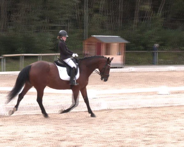 Reitturnier Igls 2024