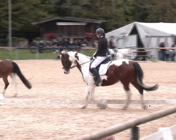 Reitturnier Igls 2024
