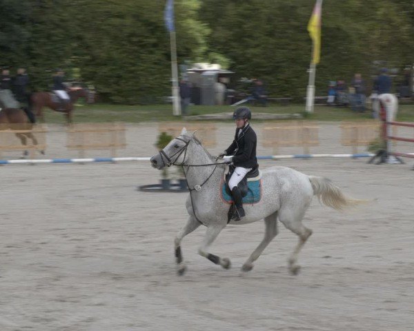 Reitturnier Pietzpuhl 2024