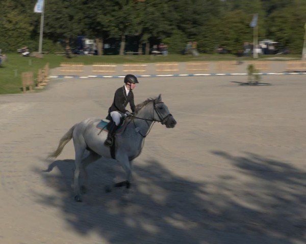 Reitturnier Pietzpuhl 2024