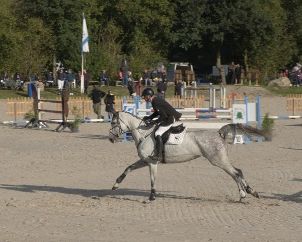 Reitturnier Pietzpuhl 2024