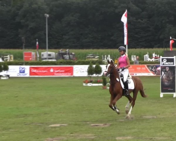 Westfalen-Woche 2013