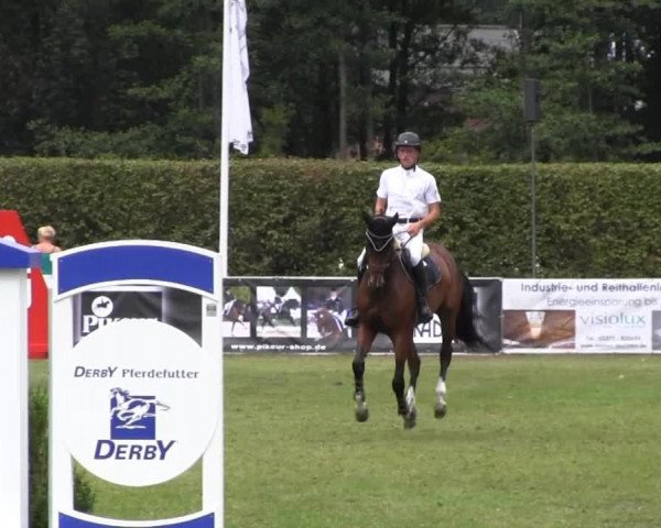 Reitturnier Münster-Handorf 2013
