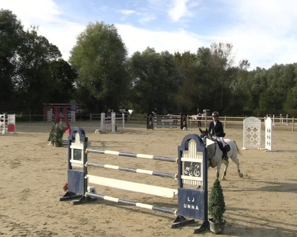 Reitturnier Kamen 2024