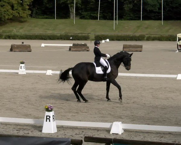 Reitturnier Tübingen 2024