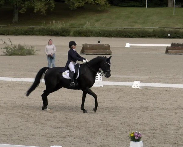 Reitturnier Tübingen 2024