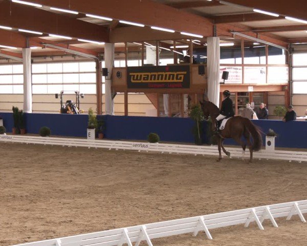 Reitturnier Isterberg 2024
