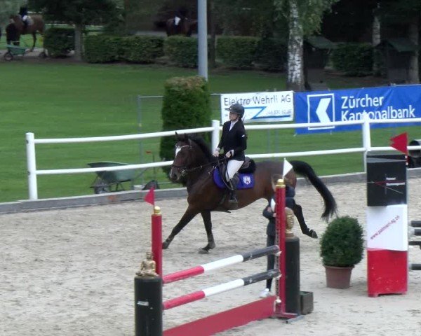 Reitturnier Dielsdorf 2024