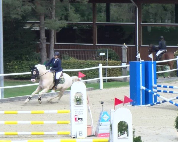 Reitturnier Dielsdorf 2024